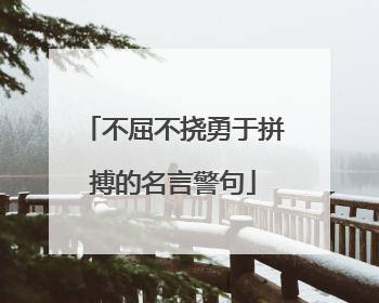 不屈不挠勇于拼搏的名言警句