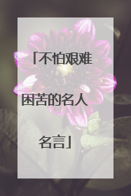 不怕艰难困苦的名人名言