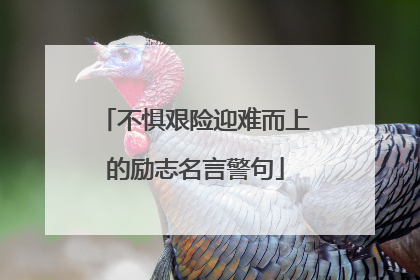 不惧艰险迎难而上的励志名言警句