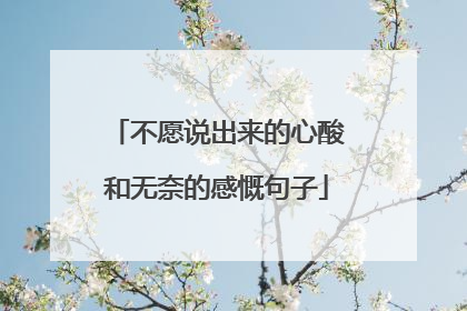 不愿说出来的心酸和无奈的感慨句子