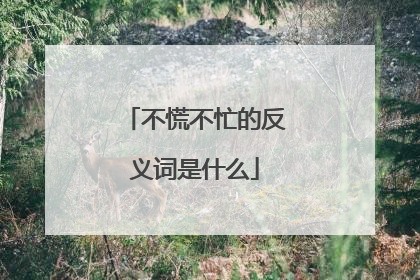 不慌不忙的反义词是什么