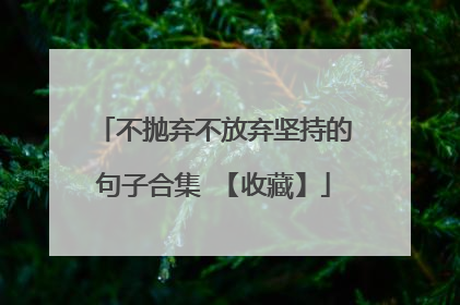不抛弃不放弃坚持的句子合集 【收藏】