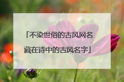 不染世俗的古风网名 藏在诗中的古风名字