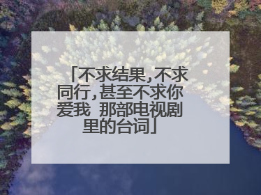 不求结果,不求同行,甚至不求你爱我 那部电视剧里的台词
