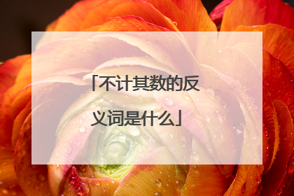不计其数的反义词是什么