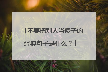 不要把别人当傻子的经典句子是什么?