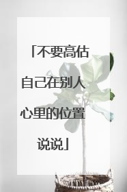 不要高估自己在别人心里的位置说说