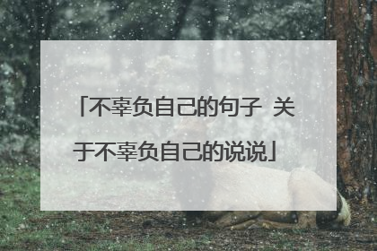 不辜负自己的句子 关于不辜负自己的说说