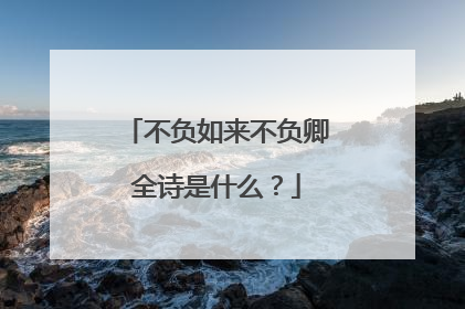 不负如来不负卿全诗是什么？