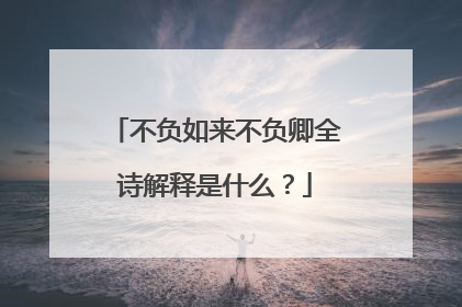 不负如来不负卿全诗解释是什么?