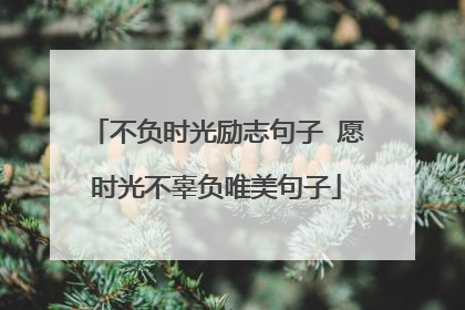 不负时光励志句子 愿时光不辜负唯美句子
