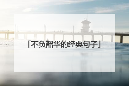 不负韶华的经典句子