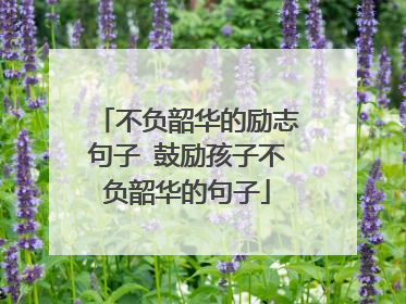 不负韶华的励志句子 鼓励孩子不负韶华的句子