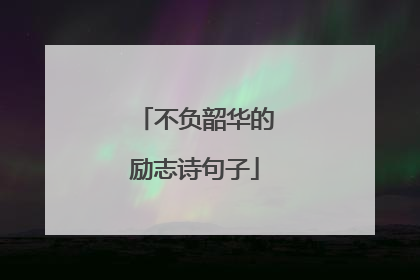 不负韶华的励志诗句子