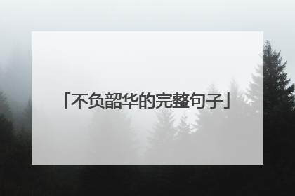 不负韶华的完整句子