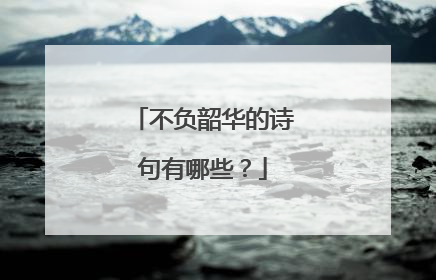 不负韶华的诗句有哪些?