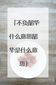 不负韶华什么意思韶华是什么意思