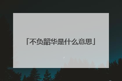 不负韶华是什么意思