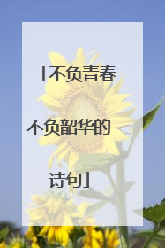 不负青春不负韶华的诗句