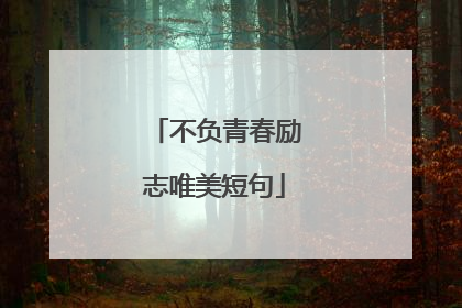 不负青春励志唯美短句