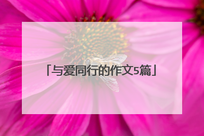 与爱同行的作文5篇