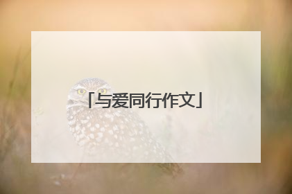 与爱同行作文