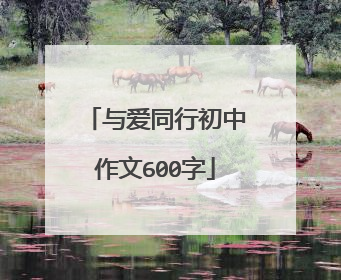 与爱同行初中作文600字