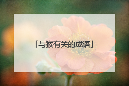 与猴有关的成语