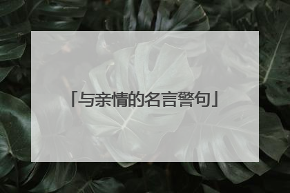 与亲情的名言警句