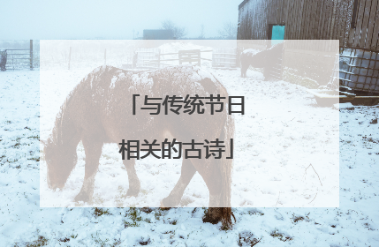 与传统节日相关的古诗