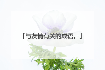 与友情有关的成语。