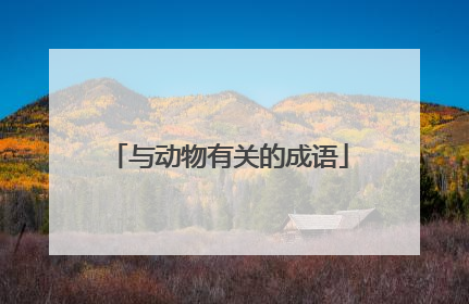 与动物有关的成语