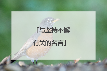 与坚持不懈有关的名言