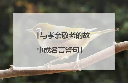与孝亲敬老的故事或名言警句
