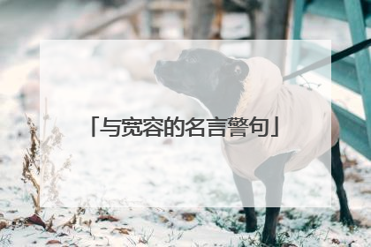 与宽容的名言警句