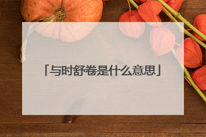 与时舒卷是什么意思