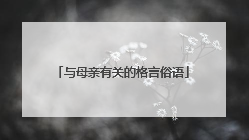 与母亲有关的格言俗语
