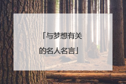 与梦想有关的名人名言