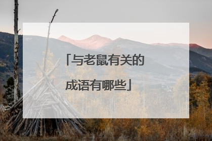与老鼠有关的成语有哪些