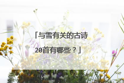 与雪有关的古诗20首有哪些？