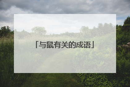 与鼠有关的成语