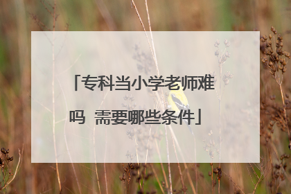 专科当小学老师难吗 需要哪些条件