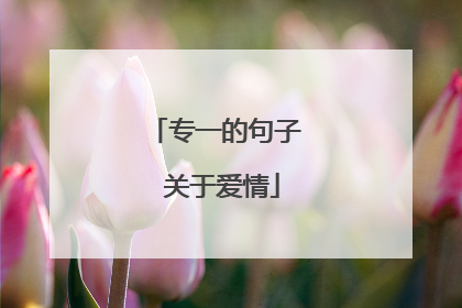 专一的句子 关于爱情