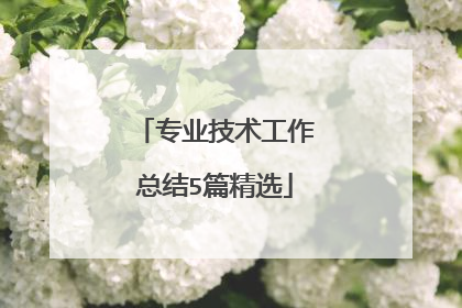 专业技术工作总结5篇精选