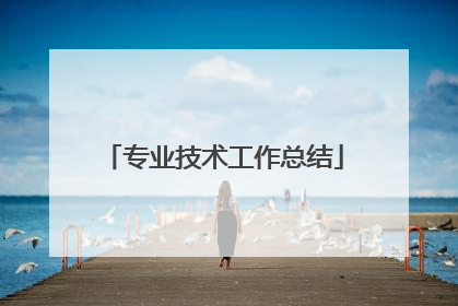 专业技术工作总结