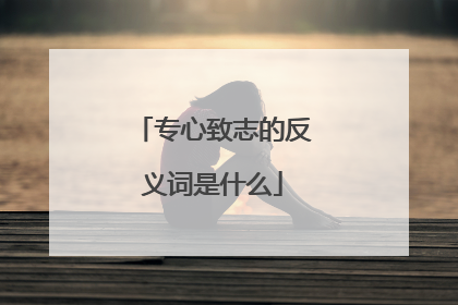 专心致志的反义词是什么
