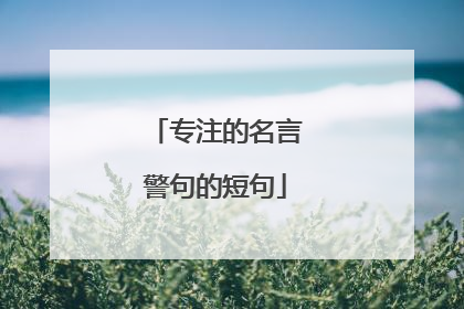 专注的名言警句的短句