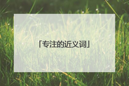 专注的近义词