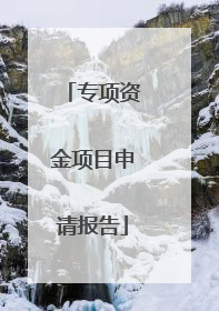 专项资金项目申请报告