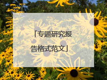专题研究报告格式范文